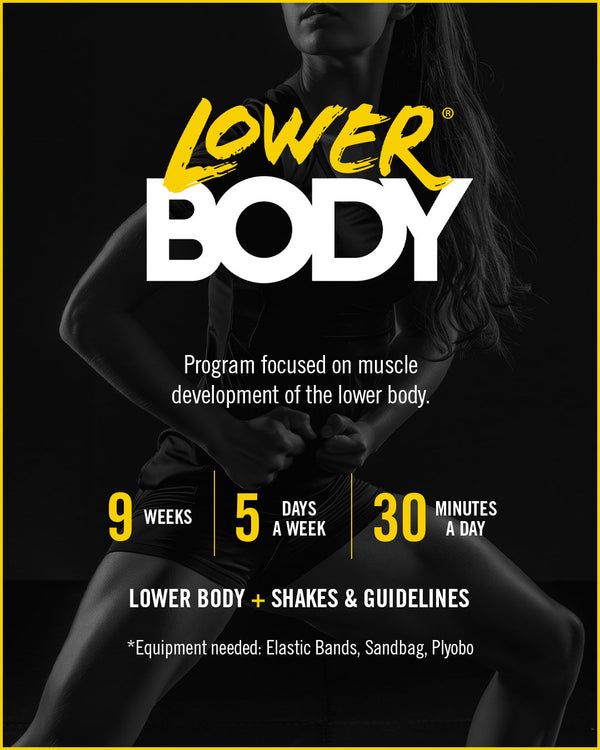 Lower Body (Tren Inferior)